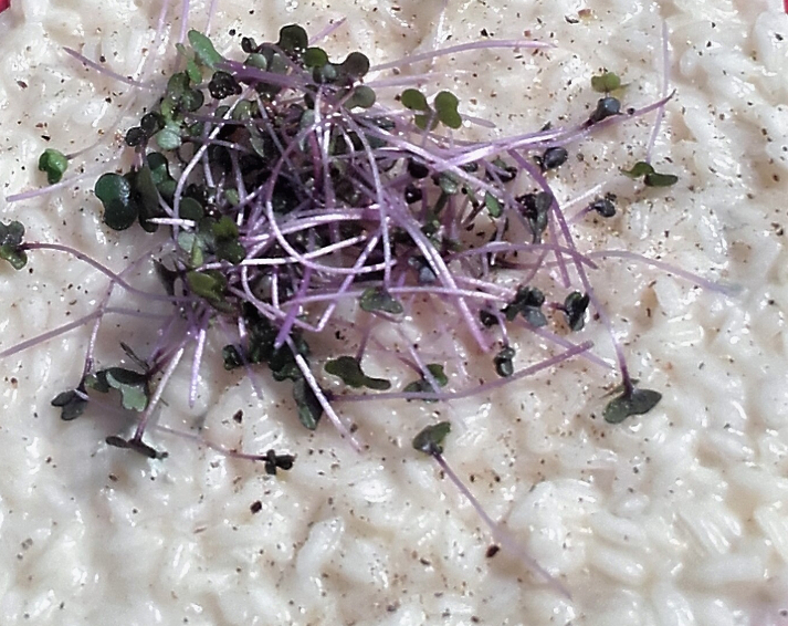 risotto-gorgonzola-e-cavolo-rosso